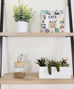 Arthur Court Cat Treat Jar Pet