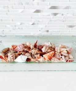 Arthur Court Shell/Sea Life Oblong Tray Oblong Trays